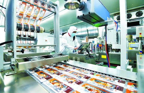 推進現代食品產業聚集發展 鄭州軟件開發的驅動與創新